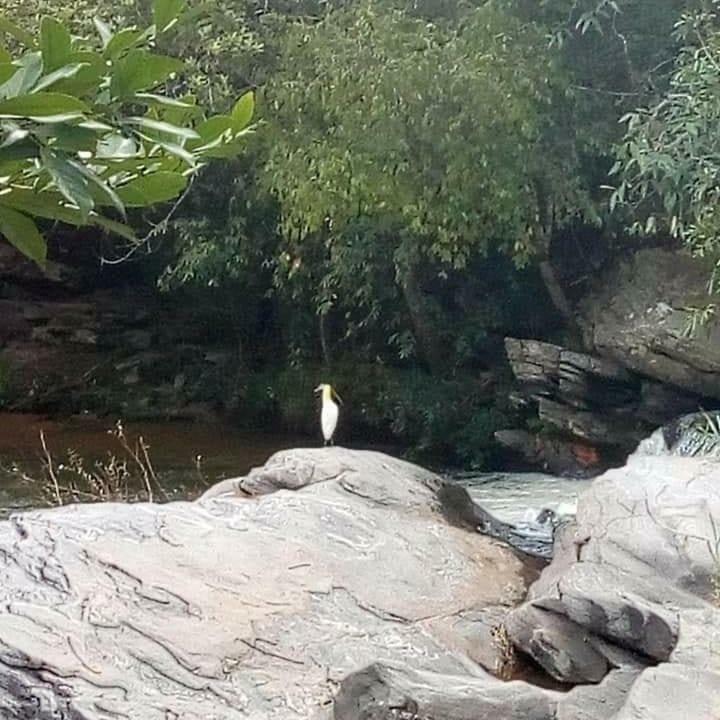 מלון Pirenópolis Pouso Do Rio מראה חיצוני תמונה